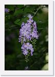 DSC_0246 * 3872 x 2592 * (2.3MB)