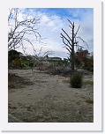 DSCN0459 * 2304 x 3072 * (1.41MB)